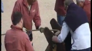 la corderie royale de rochefort