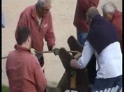 corderie royale de rochefort