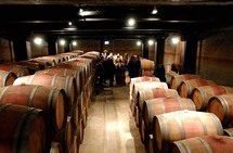 la cave des vignerons de Chusclan