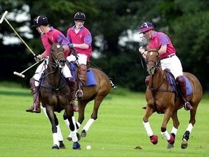 Le Polo, un sport équestre