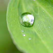 ayurvéda, santé et bien-etre ayurvéda, santé et bien-etre