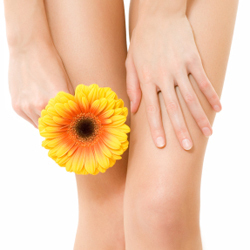 conseils pour avoir de belles jambes conseils pour avoir de belles jambes