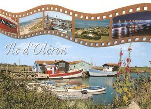 paysage de l'ile d'oleron