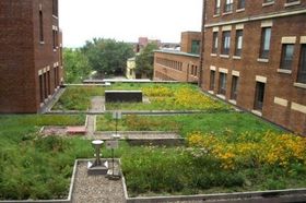 toiture végétalisée toiture végétalisée