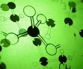 microalgue microalgue