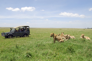 Safari photo au Kenya