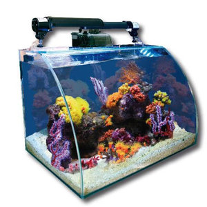 Aquarium Nano Corner