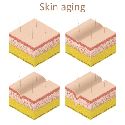 Les collagènes marins pour retrouver l'élasticité de votre peau