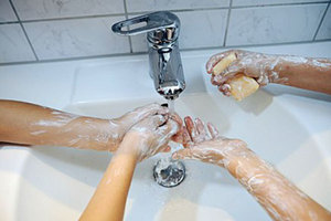 Escherichia Coli, une bactérie très contagieuse Escherichia Coli, une bactérie très contagieuse