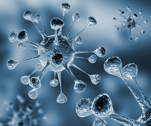 cancer du sein et AAV