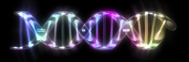 cancer du sein et thérapie génique cancer du sein et thérapie génique