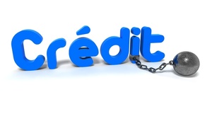 Les organismes de crédits