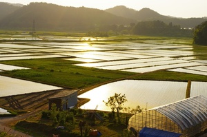 L'installation de panneaux solaires agricoles à Semur en Auxois, un choix écologique