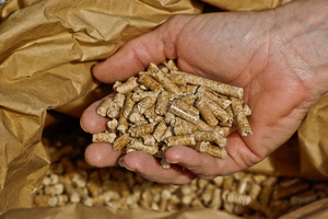 Bien choisir sa solution de bois de chauffage : un gage de confort