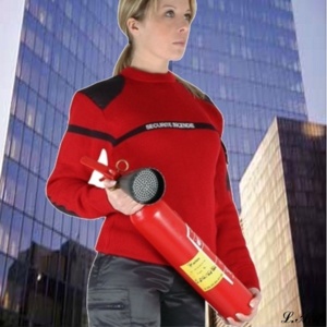 Emploi des agents de sécurité incendie SSIAP Emploi des agents de sécurité incendie SSIAP