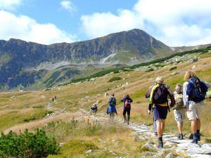 La marche à pied, un sport pour tous