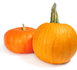 Citrouilles, potirons et autres courges