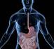 Comment faciliter la digestion ?