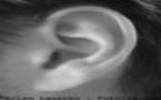 L’hygiène de l’oreille