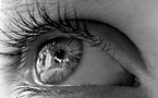 l'Oeil : un organe fascinant