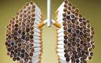 la cigarette consume chaque jour un peu plus votre capital santé et beauté