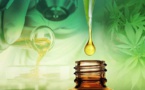 huile de cbd: des vertus bienfaitrices pour des utilités multiples