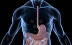 Comment faciliter la digestion ?