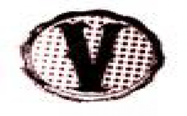 La France et le Japon s’unissent dans l’art de l’écriture