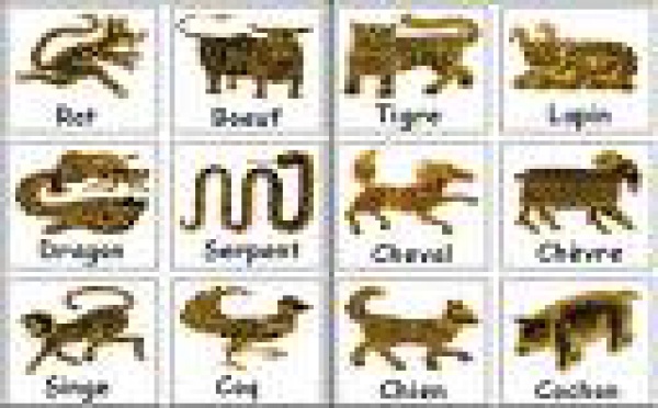 Nouvel an chinois du 26 Janvier 2009  au 13 Février 2010