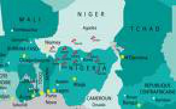 L’Afrique de l’Ouest touché par l’épidémie de grippe porcine