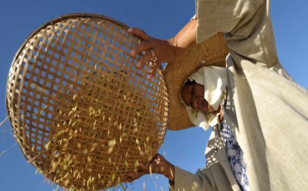 Les prix des matières premières vont à nouveau augmenter