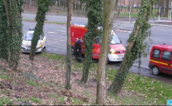 Jenny, la jeune femme violée et égorgée s’en est finalement sortie