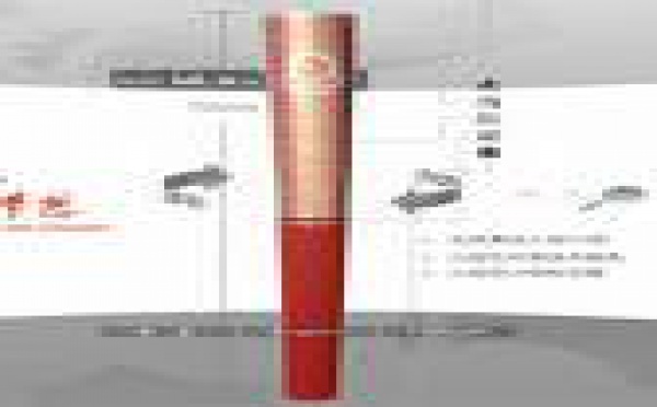 La flamme olympique à San Francisco