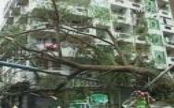 Birmanie : 351 morts après le passage de Nargis