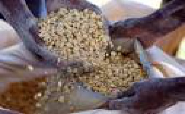 La Birmanie accepte les aides humanitaires étrangères